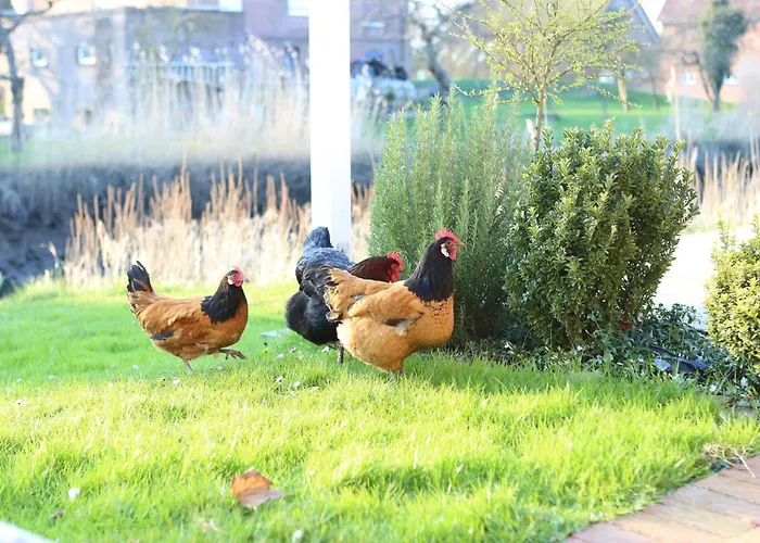 Schönes Leben Direkt Am Fluss * Jork